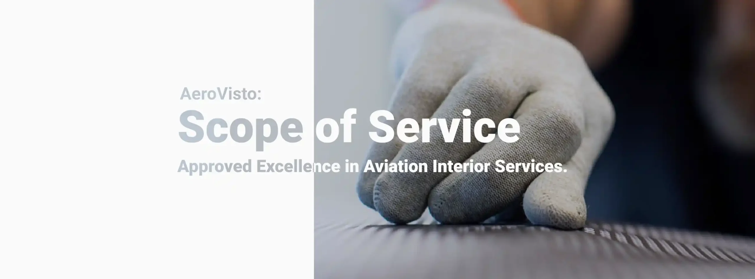 AeroVisto, Scope of Service, interior services,